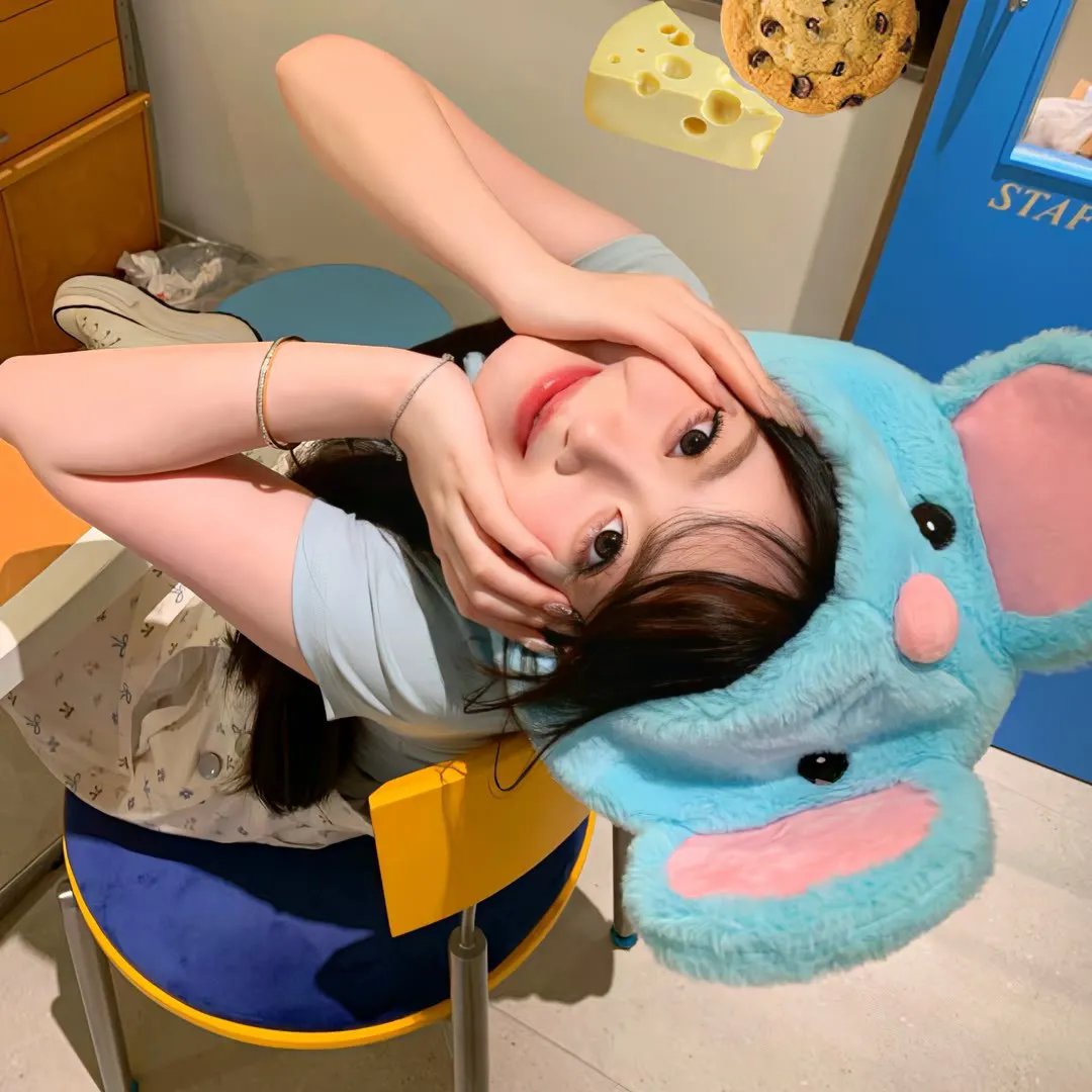 顽皮豹